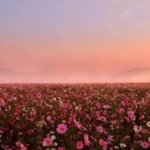 Meet your Posher, Neil